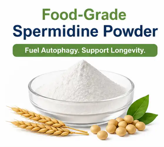 Why Choose Food Grade Spermidine Powder Over Other Anti-Aging Supplements?